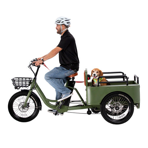 Choose your E-Bike or E-Trike