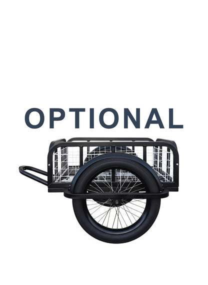 Conductor Plus Rickshaw