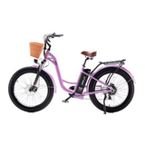NRG Electric Bike