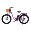 NRG Electric Bike