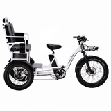 Conductor 4/3 Rear Drive Motor Rickshaw