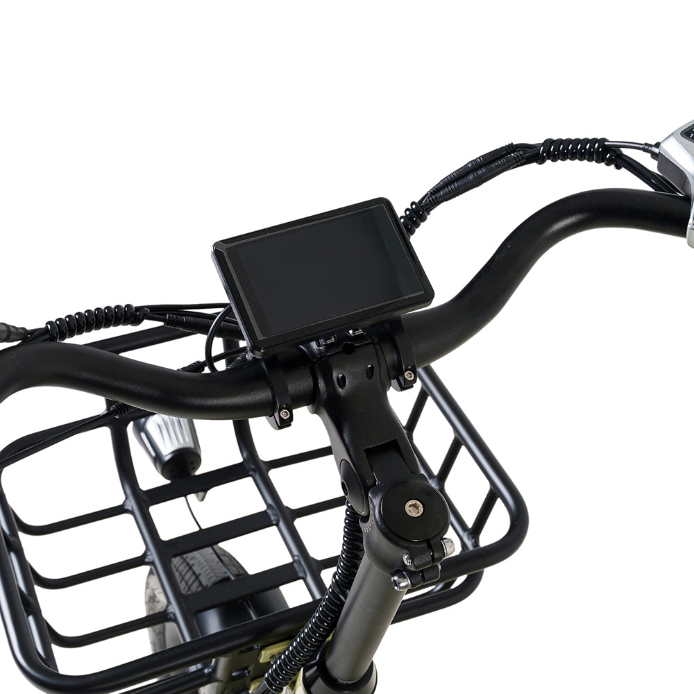 Conductor Plus Rickshaw