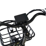Conductor Plus Rickshaw
