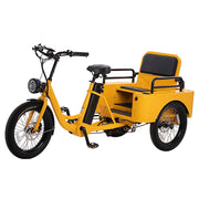 Conductor Plus Rickshaw - Dealer