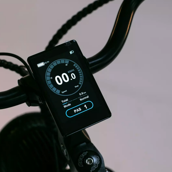 C6003 Display