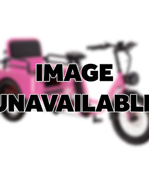 Conductor 4/3 Rear Drive Motor Rickshaw