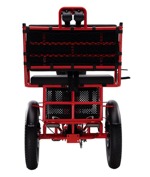 Conductor 4/3 Rear Drive Motor Rickshaw