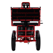 Conductor 4/3 Rear Drive Motor Rickshaw — Dealer