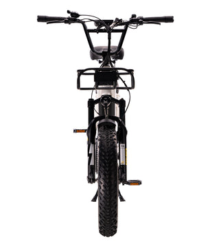 Electron Cargo E-Bike