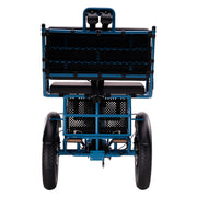 Conductor 4/3 Rear Drive Motor Rickshaw — Dealer