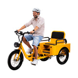 Conductor Plus Rickshaw