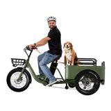 Conductor Plus Rickshaw